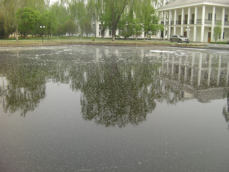 氣浮過濾治理景觀水