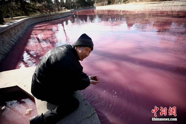 八大處人工湖湖水變紅