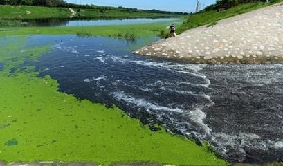 多地開展黑臭水體治理，尚無真正治理達標項目