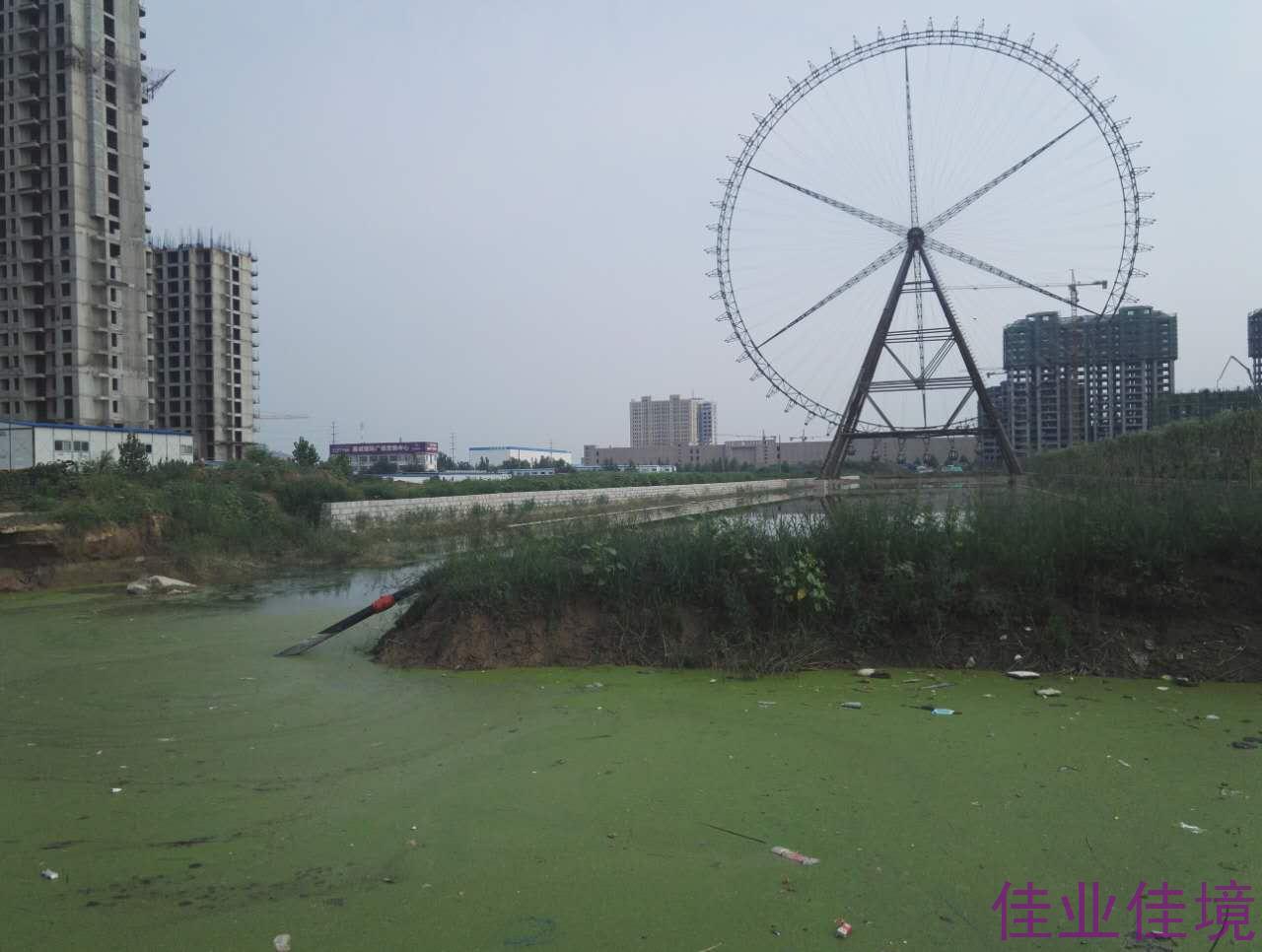 河道藍(lán)藻水華、浮萍治理